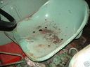 21BgBSeMQ21Wk~_28KGrHqYH-CQEsMKuO7JLBLDlsW2kmQ~~_12.jpg