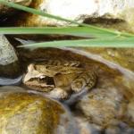 Restaurierung eines 4R3 - 012.jpg Restaurierung eines 4R3 - 012.jpg