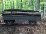 "Emmas" im Einsatz - Holztransport 004.jpg "Emmas" im Einsatz - Holztransport 004.jpg
