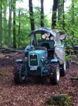 "Emmas" im Einsatz - Holztransport 006.jpg "Emmas" im Einsatz - Holztransport 006.jpg