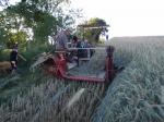 "Emmas" im Einsatz - Getreidemähen (4).JPG "Emmas" im Einsatz - Getreidemähen (4).JPG