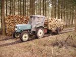 Bestimmung MAN-Traktor - PICT0624.JPG