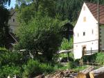 Es gibt sie noch - Schätzchen am Wegesrand - r1.jpg Es gibt sie noch - Schätzchen am Wegesrand - r1.jpg