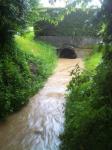 Böschungsmäher - Hochwasser_31.05.2013_15.jpg